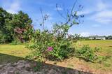 258 Rio De Janeiro Avenue - Photo 29