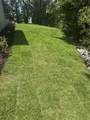 523 Juan Anasco Drive - Photo 51