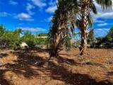 4114 Palm Drive - Photo 5