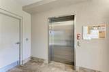 3322 Purple Martin Drive - Photo 4