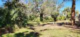 25701 Deep Creek Boulevard - Photo 3