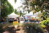 2065 Via Esplanade - Photo 14