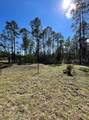 4415 Olga Street - Photo 2