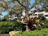 801 Islamorada Boulevard - Photo 18