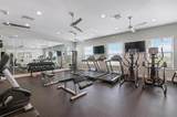 25008 Lalique Place - Photo 50
