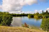 15080 Spanish Point Drive - Photo 83
