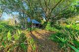 39321 Washington Loop Road - Photo 89