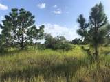 48033 Bermont Road - Photo 13