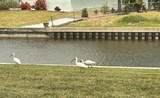 123 Poinsettia Circle - Photo 50