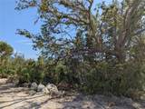 9228 Ravel Street - Photo 4