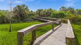 10521 Amberjack Way - Photo 34