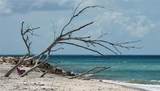 7110 Manasota Key Road - Photo 9