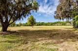 27925 Price Road - Photo 6