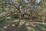 5415 Banana Point Drive - Photo 55