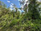LOT 2 Quince Avenue - Photo 8