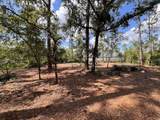  Adonijah Way - Photo 18