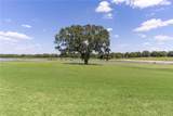 1721 Sunset Ridge Drive - Photo 11