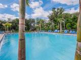 29810 Anahid Dr - Photo 49