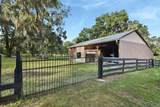 35126 William Lane - Photo 48