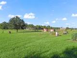 9926 Sunset Harbor Road - Photo 31