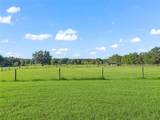 9926 Sunset Harbor Road - Photo 34