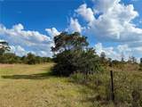 LOT 9 Fort Christmas Road - Photo 11