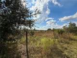 LOT 9 Fort Christmas Road - Photo 15