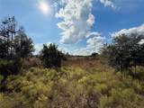 LOT 9 Fort Christmas Road - Photo 16