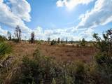 LOT 9 Fort Christmas Road - Photo 29
