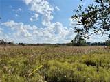LOT 9 Fort Christmas Road - Photo 31