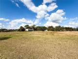 LOT 9 Fort Christmas Road - Photo 5