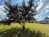 LOT 9 Fort Christmas Road - Photo 8