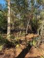 24533 Pink Panther Road - Photo 2