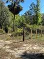 24533 Pink Panther Road - Photo 26