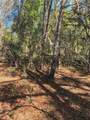 24533 Pink Panther Road - Photo 3