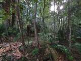 00 Tuscawilla Road - Photo 3