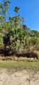 Lot 8 104 Street - Photo 5
