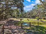 12301 158TH Terrace - Photo 48