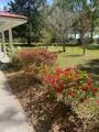 4510 County Road 232 - Photo 6