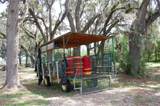18811 243RD Street - Photo 14