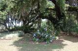 18811 243RD Street - Photo 33