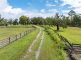 17411 County Road 1471 - Photo 32