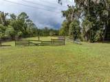 17411 County Road 1471 - Photo 60