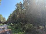 7818 State Road 45 - Photo 2
