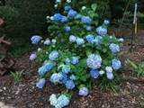 2006 23RD Street - Photo 44