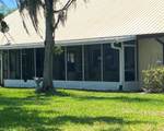 229 Lake Ida Point Drive - Photo 5