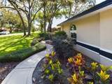 1323 Hammock Shade Drive - Photo 6