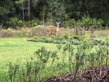 20159 Umbria Hill Drive - Photo 33