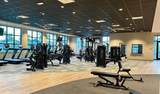 12520 Galapagos Ct. - Photo 35