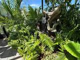8608 Saint Kitts Circle - Photo 45